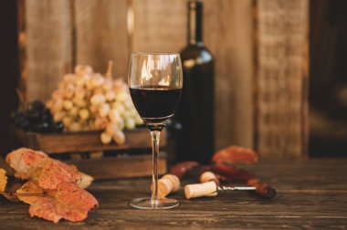 Köy mahzeninde ya da şarap barında şarap tatma deneyimi. Kırmızı şarap kadehi ve arka planda mükemmel şaraplar. Tonlanmış görüntü. Seçici odak.