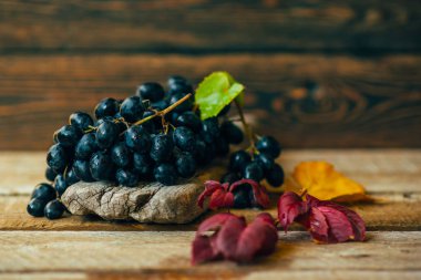 Eski ahşap arka plan üzerinde sonbahar yaprakları ile koyu mavi üzüm. Sağlıklı meyveler. Kırmızı şarap üzüm arka plan. Bir demet üzüm yemeye hazır. Tonlu görüntü. Seçici odaklama.