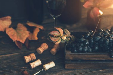 Ahşap arka planda şişe, cam ve üzüm ile kırmızı şarap. Şarap başlığı görüntüsü. Şarap kadehi. Ahşap bir kutuda kırmızı üzümlerden oluşan bir şaraphanede veya tavernada sergileyin. Üzüm hasadı kavramı, şarap yapımı.