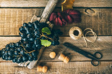 Eski ahşap arka plan üzerinde sonbahar yaprakları ile koyu mavi üzüm. Sağlıklı meyveler. Kırmızı şarap üzüm arka plan. Bir demet üzüm yemeye hazır. Tonlu görüntü. Seçici odak. Üst te. Kopyalama alanı.