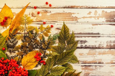 Sonbahar arkaplanı. Pejmürde bir tahta masada kırmızı viburnum. Mesaj için yer. Parlak sonbahar yaprakları. Sonbahar kartpostalı. Üst görünüm, alanı kopyala.