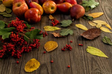Ahşap arka plan üzerinde mevsimlik sonbahar doğa meyveleri, elma ve renkli yaprakları ile Sonbahar arka plan. Sonbahar konsepti.