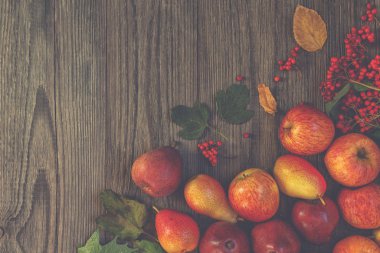 Sonbahar meyve arka plan. Sonbahar Şükran mevsim meyvesi. Doğa arka planı. Üst görünüm, kopyalama alanı.