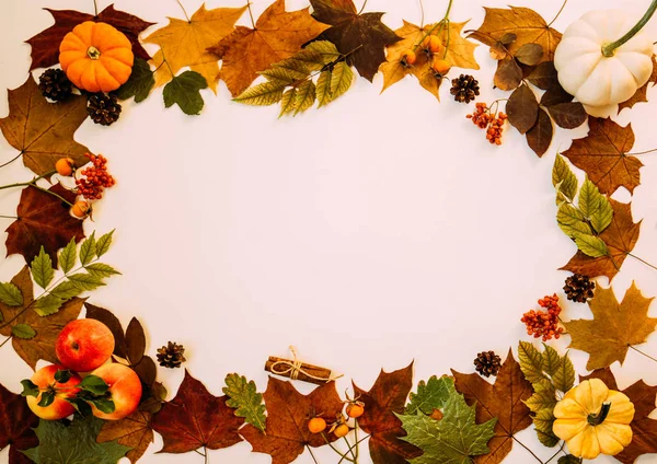 秋に乾燥した葉をパステルを背景にしたフレーム フラットレイアウト トップビュー コピースペース — ストック写真
