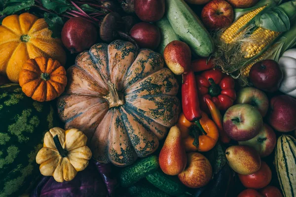 Selección Comida Sana Limpia Frutas Verduras Hortalizas Hoja — Foto de Stock