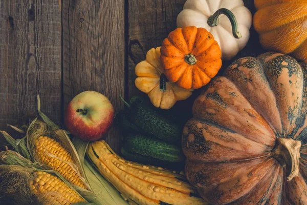 Stomme Höstens Säsongsbetonade Grönsaker Och Frukter Matlagningskoncept Olika Höst Säsongsbetonade — Stockfoto