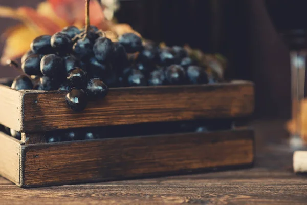 Grapes harvest. Vintage wooden box with freshly harvested black grapes at sunset in autumn harvest. Ripe grapes in fall. Wine and ripe grape served for a friendly party in a winery. Selective focus.