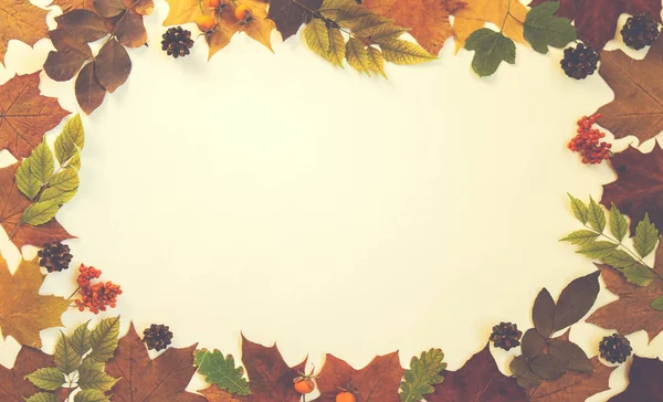 パステル背景に秋の葉 ドングリ 松のコーンで作られたフレーム 秋のコンセプト フラットレイ トップビュー コピースペース — ストック写真