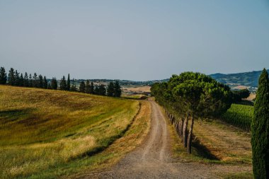 Tipik Toskana kırsal doğa manzara görkemli görünümü. Gün doğumu saatinde güzel tepeler, tarlalar ve kırsal yol. İtalya, Avrupa. Tatil, seyahat konsepti.