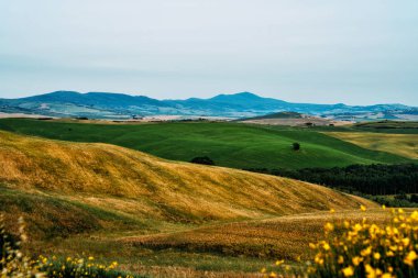 Toskana, kırsal gün batımı manzarası. Kırsal çiftlik, selvi ağaçları, tarlalar, güneş ışığı ve bulut. İtalya. Avrupa'da agro turu. Tatil açık tatil gezisi.