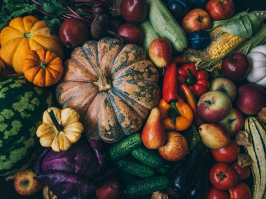 Taze ve lezzetli sebzeler koleksiyonu.