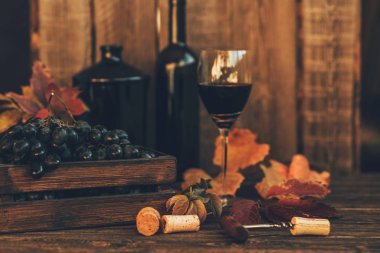 Rustik ahşap bir masada mükemmel kırmızı şarap şişeleri, şarap kadehi ve tirbuşon. Geleneksel şarap yapımı ve şarap tatma konsepti. Şarap arka planı. Bir tirbuşon ile eski bir kutu içinde kırmızı üzüm.