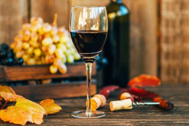 Vintage arka planda lezzetli üzümler. Yapraklı olgun mavi üzüm demeti. Üzüm hasadı İtalya. Şarap kadehi ve kopya alanı ile karanlık arka plan üzerinde mantarlar. Tonlu görüntü. Seçici odaklama.