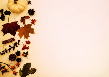 Sonbahar meşe palamudu, çam kozalağı ve pumkin ile kompozisyon bırakır. Doğa kavramı arka plan. Düz döşeme ve kopya alanı ile üst görünüm. Tonlu görüntü.