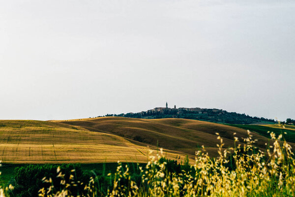 Unique tuscany landscape. A lonely farmhouse with olive trees, rolling hills, Tuscany, Italy. Summer, holiday, traveling concept.