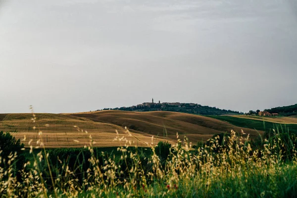 Uniek Toscaans Landschap Een Eenzame Boerderij Met Olijfbomen Glooiende Heuvels — Stockfoto