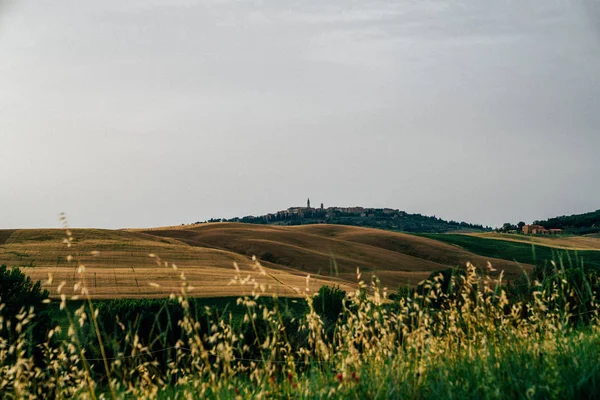 Paisaje Toscano Único Una Granja Solitaria Con Olivos Colinas Onduladas — Foto de Stock