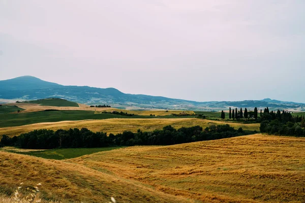 Toscana Itália Colinas Toscana Durante Período Colheita Paisagem Única Com — Fotografia de Stock