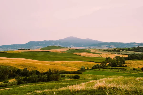 Регіоні Тоскана Італія Тосканські Пагорби Період Збору Врожаю Унікальний Ландшафт — стокове фото