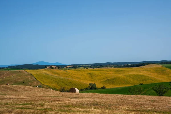 Prachtig Herfstlandschap Landelijk Zonsondergang Landschap Eenzaam Huis Bomen Groen Gouden — Stockfoto