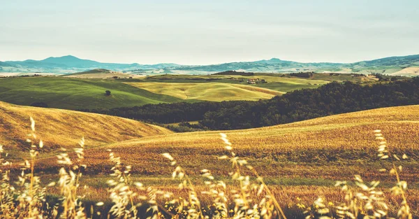 Toskana Italien Toskanischen Hügeln Während Der Erntezeit Einzigartige Landschaft Mit — Stockfoto