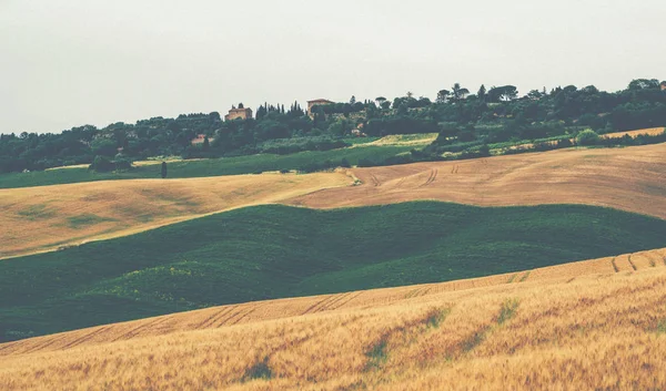 Прекрасна Осінь Тоскані Італія Сільський Ландшафт Крайні Пагорби Луки Зелені — стокове фото