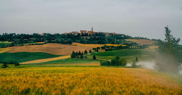 이탈리아 토스카나의 아름다운 가을입니다 노란색의 여행의 개념이다 스러운 필터는 곡식에 — 스톡 사진