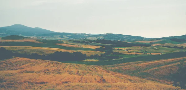 Campagne Traditionnelle Paysages Belle Toscane Champs Aux Couleurs Dorées Italie — Photo