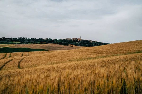 이탈리아 토스카나의 아름다운 풍경입니다 언덕과 녹색과 노란색 필드와 아름다운 이미지 — 스톡 사진