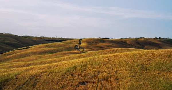 Uitzicht Een Najaarsdag Het Italiaanse Landelijke Landschap Uniek Zonsondergang Toscane — Stockfoto