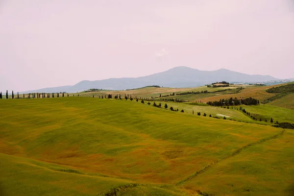 Toscane Italië Toscaanse Heuvels Tijdens Oogstperiode Uniek Landschap Met Glooiende — Stockfoto
