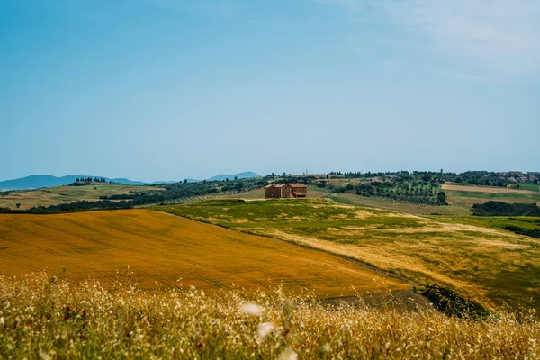 Toscana Paesaggio Rurale Tramonto Fattoria Campagna Cipressi Campi Luce Del — Foto Stock