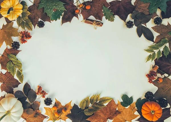 秋の構図 秋の葉 カボチャ リンゴとパステルの背景にスパイスで作られたフレーム 秋の概念 フラットレイアウト トップビュー コピースペース — ストック写真