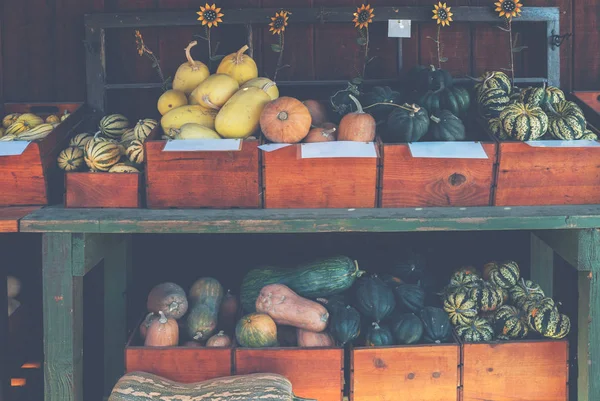 Pompoen Groente Kruidenier Markt — Stockfoto