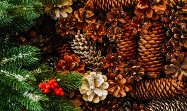 Firavun ve çam kozalakları arka planda. Noel süslemeli koniler. Noel, kış, yeni yıl konsepti. Düz konum, üst görünüm, kopyalama alanı.
