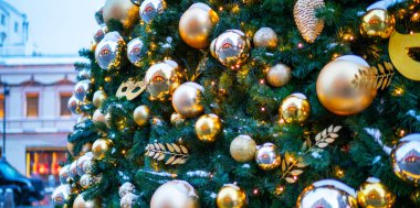 Noel süslemelerinin çiçek dalları. Noel, kış, yeni yıl konsepti. Boşluğu kopyala.