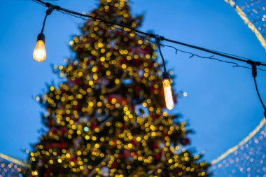 Açık havada süslenmiş Noel ağacı gece vakti parlıyor. Noel, kış, yeni yıl konsepti. Metin için boşluk kopyala.