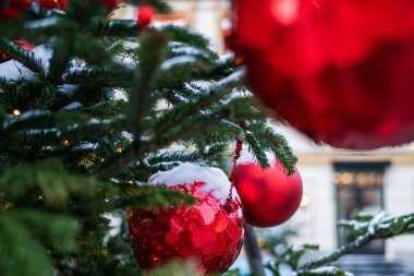Atlı karıncalar geleneksel Noel pazarına. Kış günü açık hava fuarı. Buzlu çam dalından bak. Mutlu yıllar. Kış tatillerinde sokak dekorasyonu.