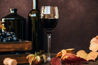 Mükemmel kırmızı şarap şişeleri, şarap kadehleri ve ahşap bir masada tirbuşon. Geleneksel şarap yapımı ve şarap tatma konsepti. Şarap arka planı. Tirbuşonlu eski bir kutuda kırmızı üzümler.