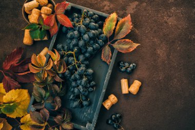 Lezzetli vejetaryen yiyecekler için güz yapraklı, koyu renkli, güzel manzaralı bir sürü üzüm. Organik yiyecekler. Eski kutuda taze meyve hasadı. Tahta bir masada..