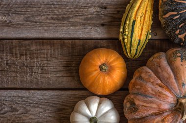 Organik gıda. Koyu rustik ahşap masa üzerinde Sonbahar kabak. Sağlıklı vejetaryen yemekleri. Üstte görüntü.
