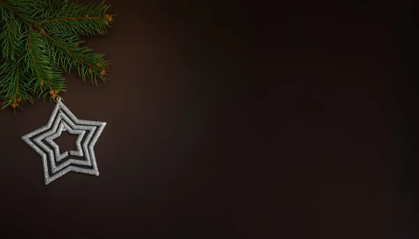 Köknar Ağacı Dalları Gümüş Yıldız Ladin Dallarının Olduğu Bir Noel — Stok fotoğraf