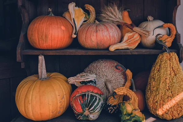 Roadside Farmstand California Usa Countryside Has Many Pumpkins Sale Autumn — Stock Photo, Image