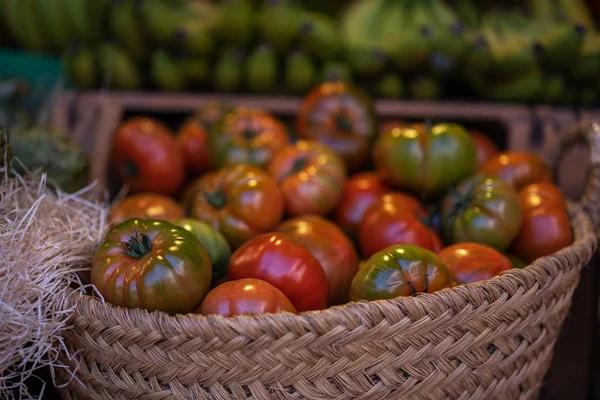 Los Agricultores Otoño Orgánicos Crudos Comercializan Canasta Con Verduras Frescas — Foto de Stock