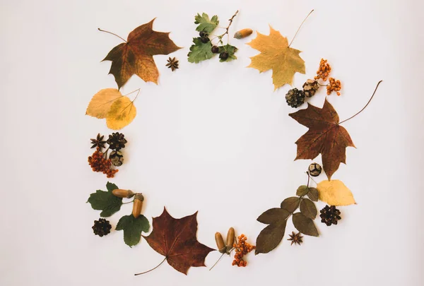 Wreath made of pumpkin, autumn berries, dried leaves, acorn, pine cones, anise star on pastel background. Autumn concept. Flat lay, top view, copy space. Toned image. Vintage style. Autumn background.