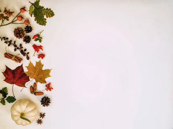 Őszi Levelek Összetétele Makk Fenyőtoboz Tök Természet Koncepció Háttér Lapos — Stock Fotó