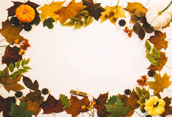 秋に乾燥した葉をパステルを背景にしたフレーム フラットレイアウト トップビュー コピースペース — ストック写真