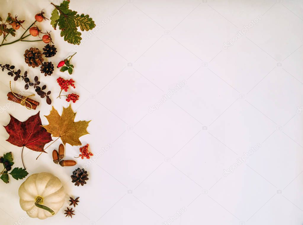 Autumn leaves composition with acorn, pine cones and pumpkin. Nature concept background. Flat lay and top view with copy space. Toned image.