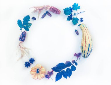 Balkabağından, güz meyvelerinden, kuru yapraklardan, meşe palamudundan, kozalaklardan, anasonlu pastel arka plandan yapılmış çelenk. Sonbahar konsepti. Düz konum, üst görünüm, kopyalama alanı. Tonlanmış görüntü. Eski tarz. Sonbahar arkaplanı.