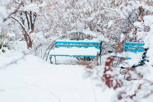 Paysage Hivernal Snowpark Hiver Dans Parc Enneigé — Photo